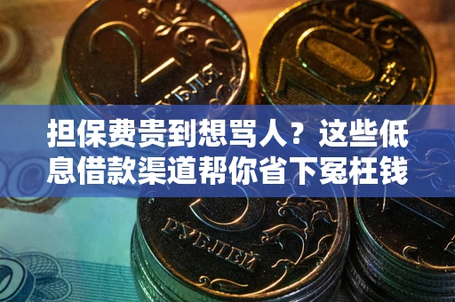 济南担保费贵到想骂人？这些低息借款渠道帮你省下冤枉钱