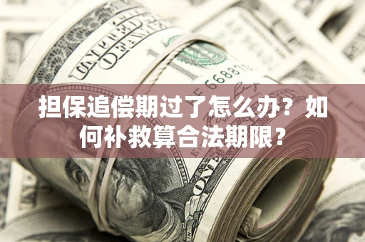 济南担保追偿期过了怎么办？如何补救算合法期限？