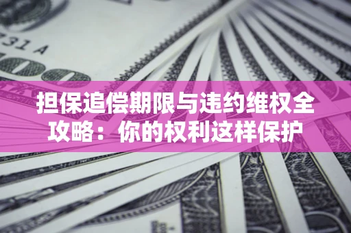 济南担保追偿期限与违约维权全攻略：你的权利这样保护