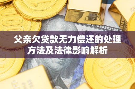 济南父亲欠贷款无力偿还的处理方法及法律影响解析