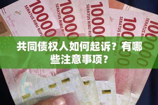 济南共同债权人如何起诉？有哪些注意事项？